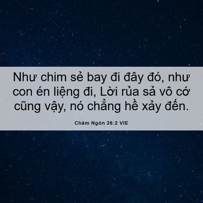 Picture 06 - Châm Ngôn 26:2 VIE - Như chim sẻ bay đi đây đó, như con én - Bible Verse Picture