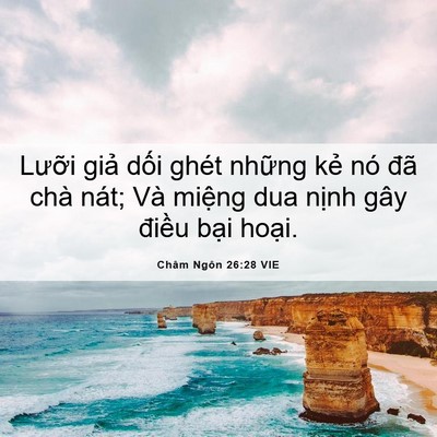 Picture 06 - Châm Ngôn 26:28 VIE - Lưỡi giả dối ghét những kẻ nó đã - Bible Verse Picture