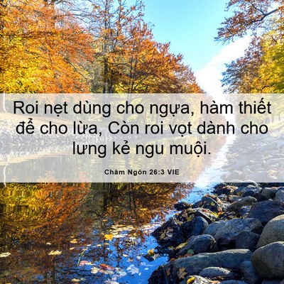 Picture 06 - Châm Ngôn 26:3 VIE - Roi nẹt dùng cho ngựa, hàm thiết để - Bible Verse Picture