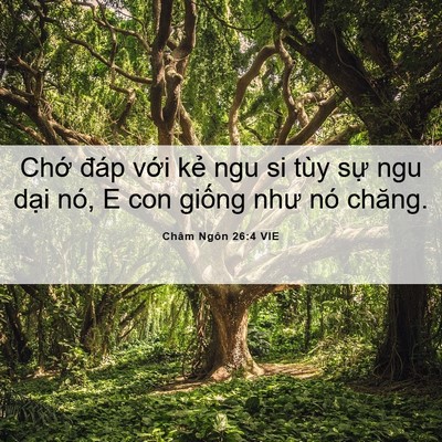 Picture 06 - Châm Ngôn 26:4 VIE - Chớ đáp với kẻ ngu si tùy sự ngu dại - Bible Verse Picture