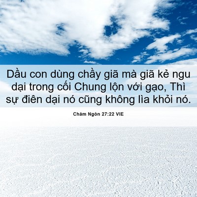 Picture 06 - Châm Ngôn 27:22 VIE - Dầu con dùng chầy giã mà giã kẻ ngu - Bible Verse Picture