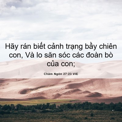 Picture 06 - Châm Ngôn 27:23 VIE - Hãy rán biết cảnh trạng bầy chiên con, - Bible Verse Picture