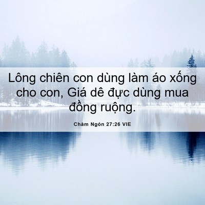 Picture 06 - Châm Ngôn 27:26 VIE - Lông chiên con dùng làm áo xống cho con, - Bible Verse Picture