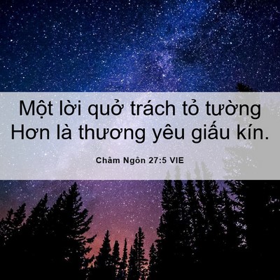 Picture 06 - Châm Ngôn 27:5 VIE - Một lời quở trách tỏ tường Hơn là - Bible Verse Picture