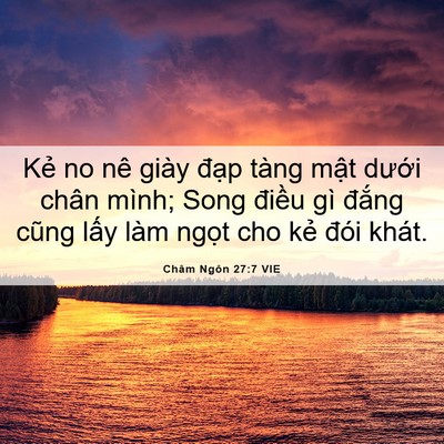 Picture 06 - Châm Ngôn 27:7 VIE - Kẻ no nê giày đạp tàng mật dưới - Bible Verse Picture