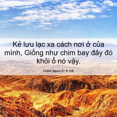 Picture 06 - Châm Ngôn 27:8 VIE - Kẻ lưu lạc xa cách nơi ở của mình, - Bible Verse Picture