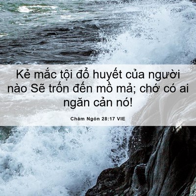 Picture 06 - Châm Ngôn 28:17 VIE - Kẻ mắc tội đổ huyết của người - Bible Verse Picture