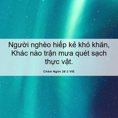 Picture 06 - Châm Ngôn 28:3 VIE - Người nghèo hiếp kẻ khó khăn, Khác - Bible Verse Picture