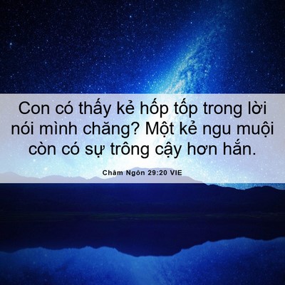 Picture 06 - Châm Ngôn 29:20 VIE - Con có thấy kẻ hốp tốp trong lời nói - Bible Verse Picture