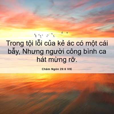 Picture 06 - Châm Ngôn 29:6 VIE - Trong tội lỗi của kẻ ác có một cái - Bible Verse Picture