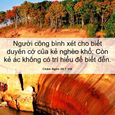 Picture 06 - Châm Ngôn 29:7 VIE - Người công bình xét cho biết duyên cớ - Bible Verse Picture