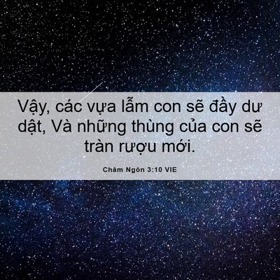 Picture 06 - Châm Ngôn 3:10 VIE - Vậy, các vựa lẫm con sẽ đầy dư - Bible Verse Picture