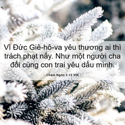 Picture 06 - Châm Ngôn 3:12 VIE - Vì Đức Giê-hô-va yêu thương ai thì - Bible Verse Picture