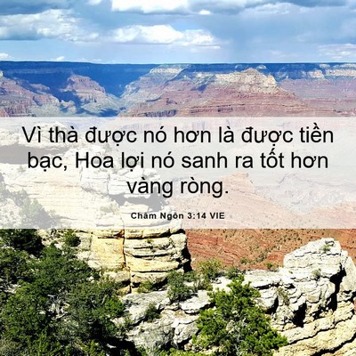 Picture 06 - Châm Ngôn 3:14 VIE - Vì thà được nó hơn là được tiền - Bible Verse Picture
