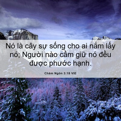 Picture 06 - Châm Ngôn 3:18 VIE - Nó là cây sự sống cho ai nắm lấy nó; - Bible Verse Picture