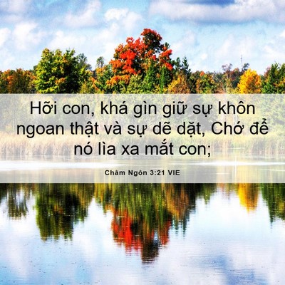 Picture 06 - Châm Ngôn 3:21 VIE - Hỡi con, khá gìn giữ sự khôn ngoan - Bible Verse Picture