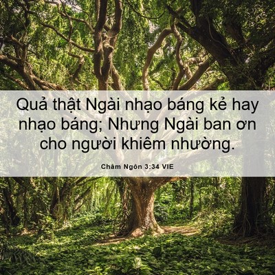 Picture 06 - Châm Ngôn 3:34 VIE - Quả thật Ngài nhạo báng kẻ hay nhạo - Bible Verse Picture