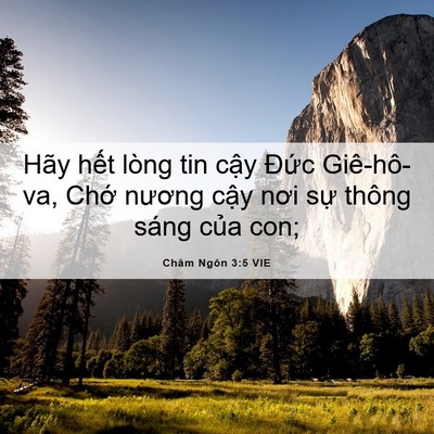 Picture 06 - Châm Ngôn 3:5 VIE - Hãy hết lòng tin cậy Đức Giê-hô-va, - Bible Verse Picture