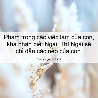 Picture 06 - Châm Ngôn 3:6 VIE - Phàm trong các việc làm của con, khá - Bible Verse Picture
