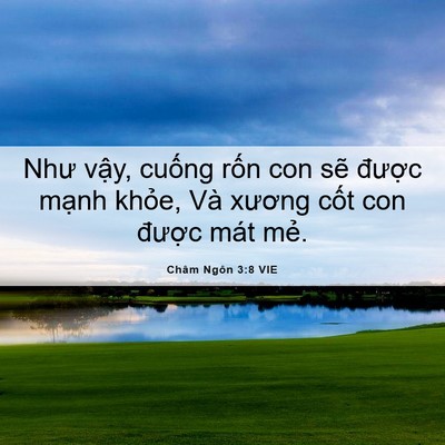 Picture 06 - Châm Ngôn 3:8 VIE - Như vậy, cuống rốn con sẽ được - Bible Verse Picture