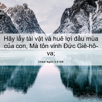 Picture 06 - Châm Ngôn 3:9 VIE - Hãy lấy tài vật và huê lợi đầu mùa - Bible Verse Picture