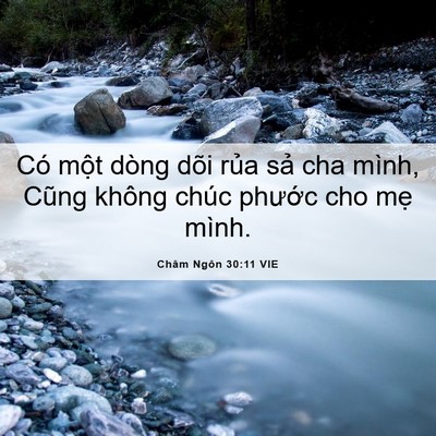 Picture 06 - Châm Ngôn 30:11 VIE - Có một dòng dõi rủa sả cha mình, Cũng - Bible Verse Picture