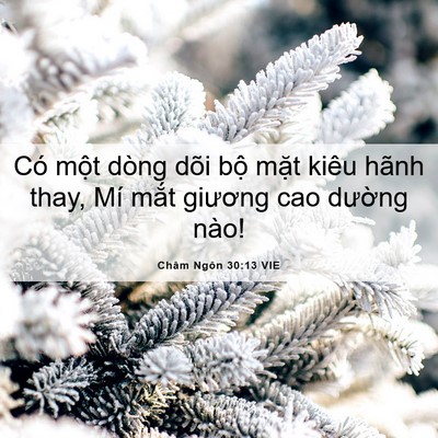 Picture 06 - Châm Ngôn 30:13 VIE - Có một dòng dõi bộ mặt kiêu hãnh thay, - Bible Verse Picture