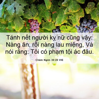 Picture 06 - Châm Ngôn 30:20 VIE - Tánh nết người kỵ nữ cũng vậy: Nàng - Bible Verse Picture