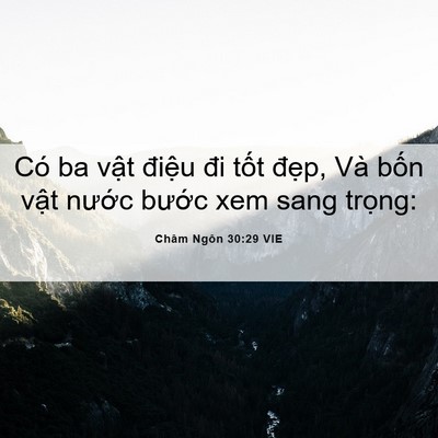 Picture 06 - Châm Ngôn 30:29 VIE - Có ba vật điệu đi tốt đẹp, Và bốn - Bible Verse Picture