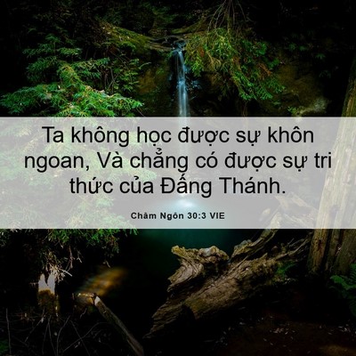 Picture 06 - Châm Ngôn 30:3 VIE - Ta không học được sự khôn ngoan, Và - Bible Verse Picture