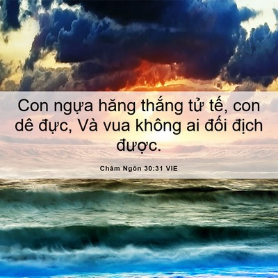 Picture 06 - Châm Ngôn 30:31 VIE - Con ngựa hăng thắng tử tế, con dê - Bible Verse Picture