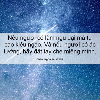 Picture 06 - Châm Ngôn 30:32 VIE - Nếu ngươi có làm ngu dại mà tự cao - Bible Verse Picture
