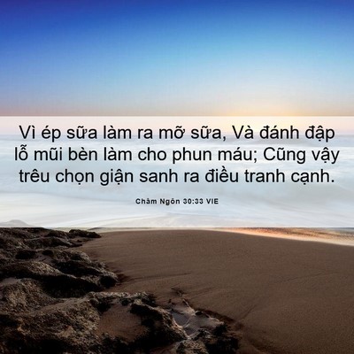 Picture 06 - Châm Ngôn 30:33 VIE - Vì ép sữa làm ra mỡ sữa, Và đánh - Bible Verse Picture