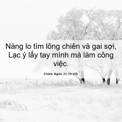 Picture 06 - Châm Ngôn 31:13 VIE - Nàng lo tìm lông chiên và gai sợi, Lạc - Bible Verse Picture