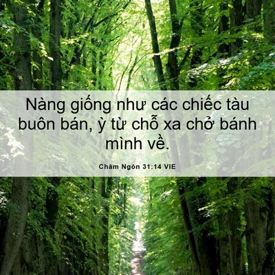Picture 06 - Châm Ngôn 31:14 VIE - Nàng giống như các chiếc tàu buôn bán, - Bible Verse Picture