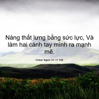 Picture 06 - Châm Ngôn 31:17 VIE - Nàng thắt lưng bằng sức lực, Và làm - Bible Verse Picture