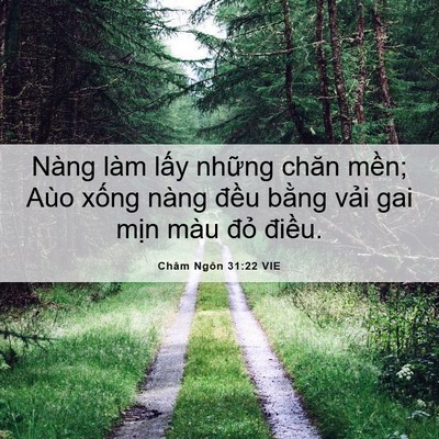 Picture 06 - Châm Ngôn 31:22 VIE - Nàng làm lấy những chăn mền; Aùo xống - Bible Verse Picture