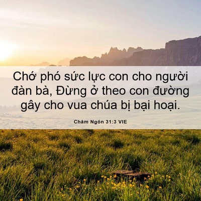 Picture 06 - Châm Ngôn 31:3 VIE - Chớ phó sức lực con cho người đàn - Bible Verse Picture
