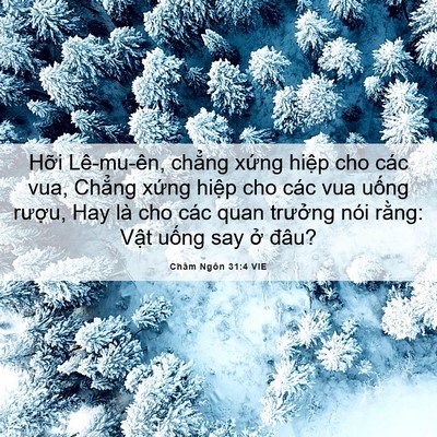 Picture 06 - Châm Ngôn 31:4 VIE - Hỡi Lê-mu-ên, chẳng xứng hiệp cho các - Bible Verse Picture
