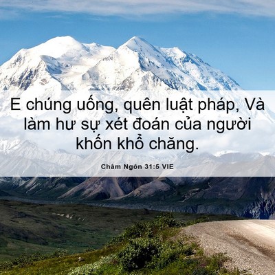 Picture 06 - Châm Ngôn 31:5 VIE - E chúng uống, quên luật pháp, Và làm hư - Bible Verse Picture