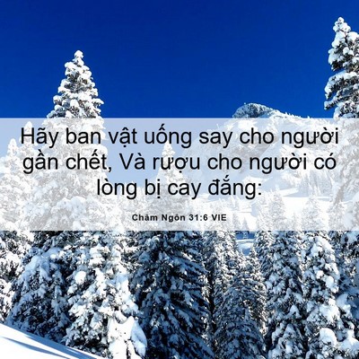 Picture 06 - Châm Ngôn 31:6 VIE - Hãy ban vật uống say cho người gần - Bible Verse Picture
