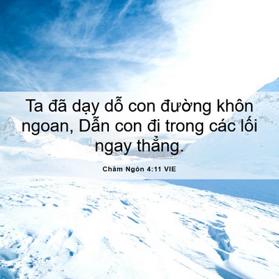 Picture 06 - Châm Ngôn 4:11 VIE - Ta đã dạy dỗ con đường khôn ngoan, - Bible Verse Picture