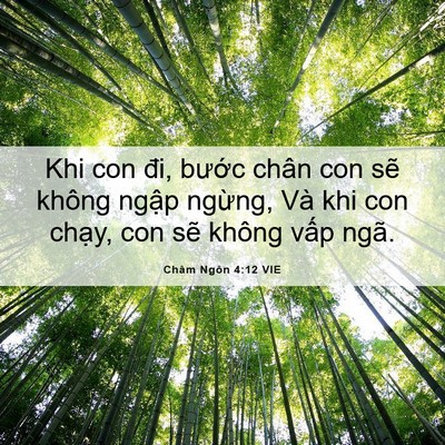 Picture 06 - Châm Ngôn 4:12 VIE - Khi con đi, bước chân con sẽ không ngập - Bible Verse Picture