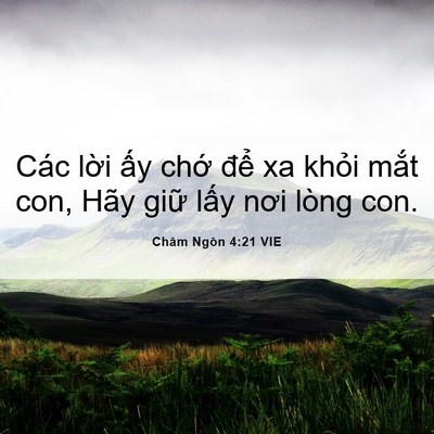 Picture 06 - Châm Ngôn 4:21 VIE - Các lời ấy chớ để xa khỏi mắt con, - Bible Verse Picture