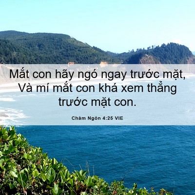 Picture 06 - Châm Ngôn 4:25 VIE - Mắt con hãy ngó ngay trước mặt, Và mí - Bible Verse Picture