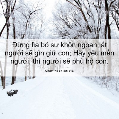 Picture 06 - Châm Ngôn 4:6 VIE - Đừng lìa bỏ sự khôn ngoan, ắt người - Bible Verse Picture