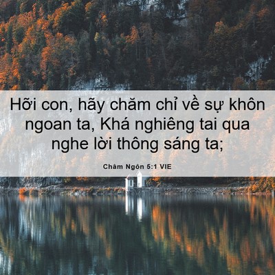 Picture 06 - Châm Ngôn 5:1 VIE - Hỡi con, hãy chăm chỉ về sự khôn ngoan - Bible Verse Picture
