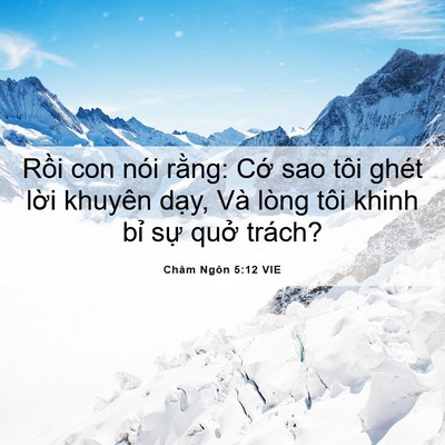 Picture 06 - Châm Ngôn 5:12 VIE - Rồi con nói rằng: Cớ sao tôi ghét lời - Bible Verse Picture