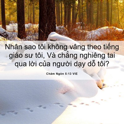 Picture 06 - Châm Ngôn 5:13 VIE - Nhân sao tôi không vâng theo tiếng giáo - Bible Verse Picture