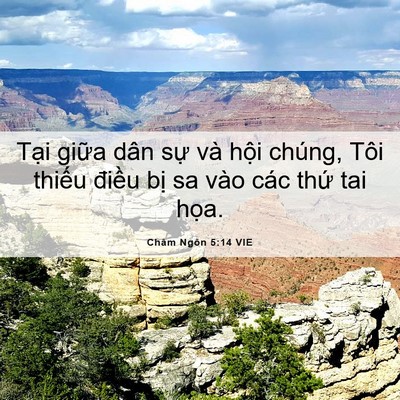 Picture 06 - Châm Ngôn 5:14 VIE - Tại giữa dân sự và hội chúng, Tôi - Bible Verse Picture